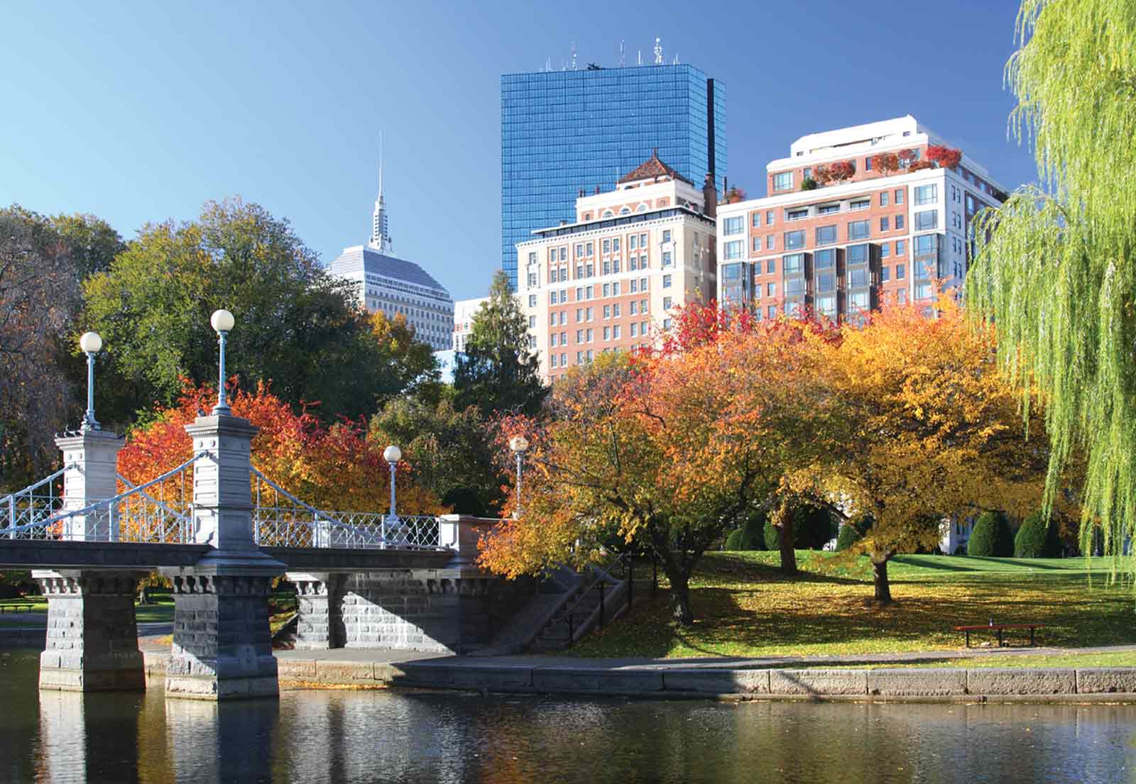 View of Boston buildings from the Boston Common